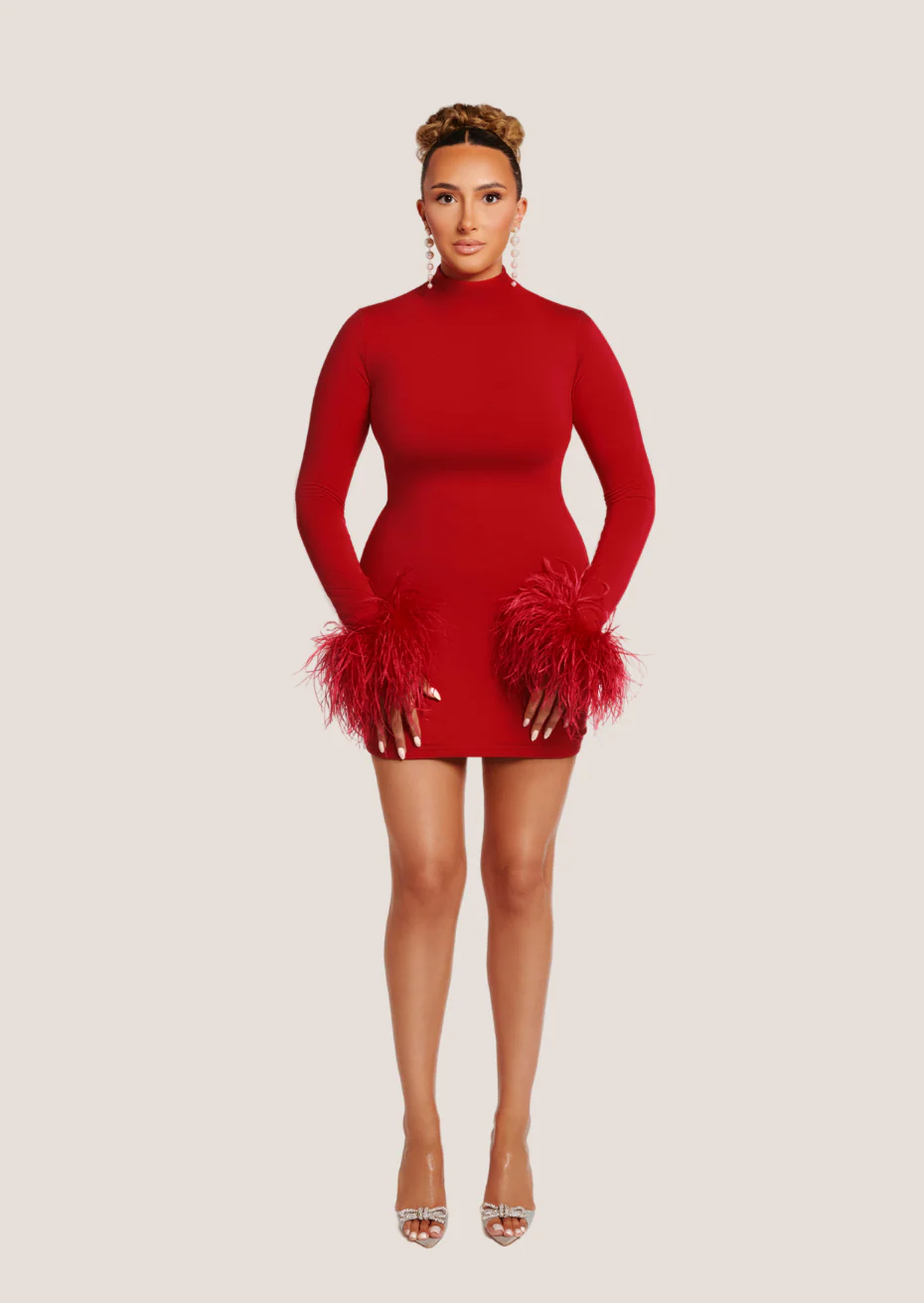 Asari Feather Mini Dress Cherry Red